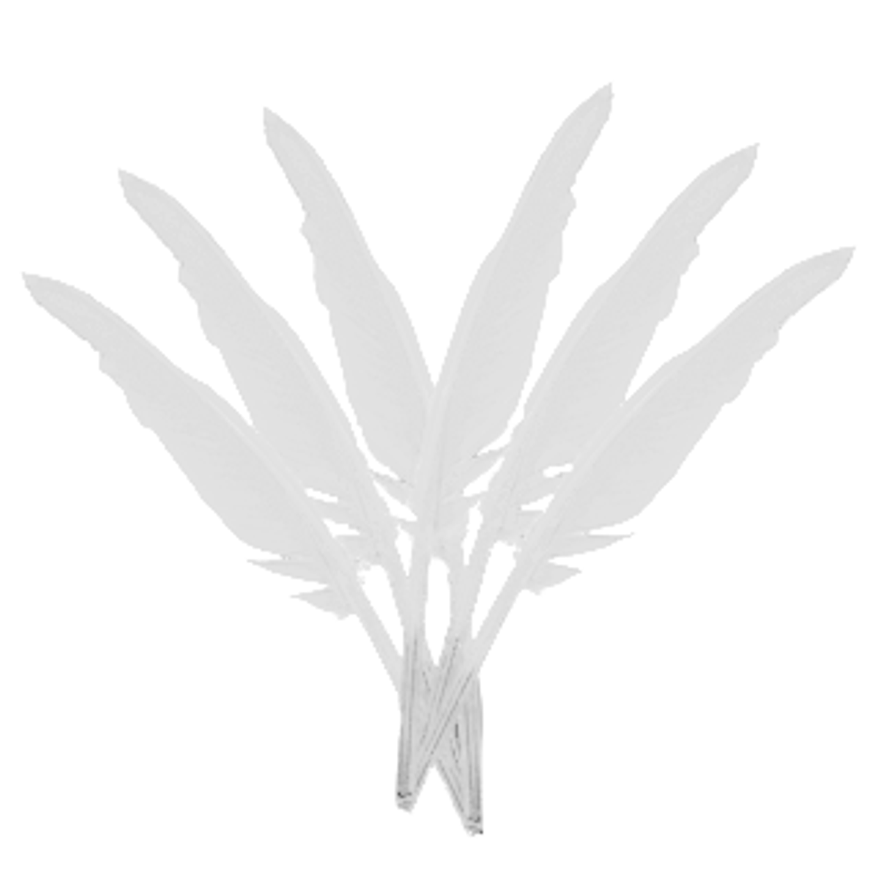 Where to buy decorative feathers clearance
