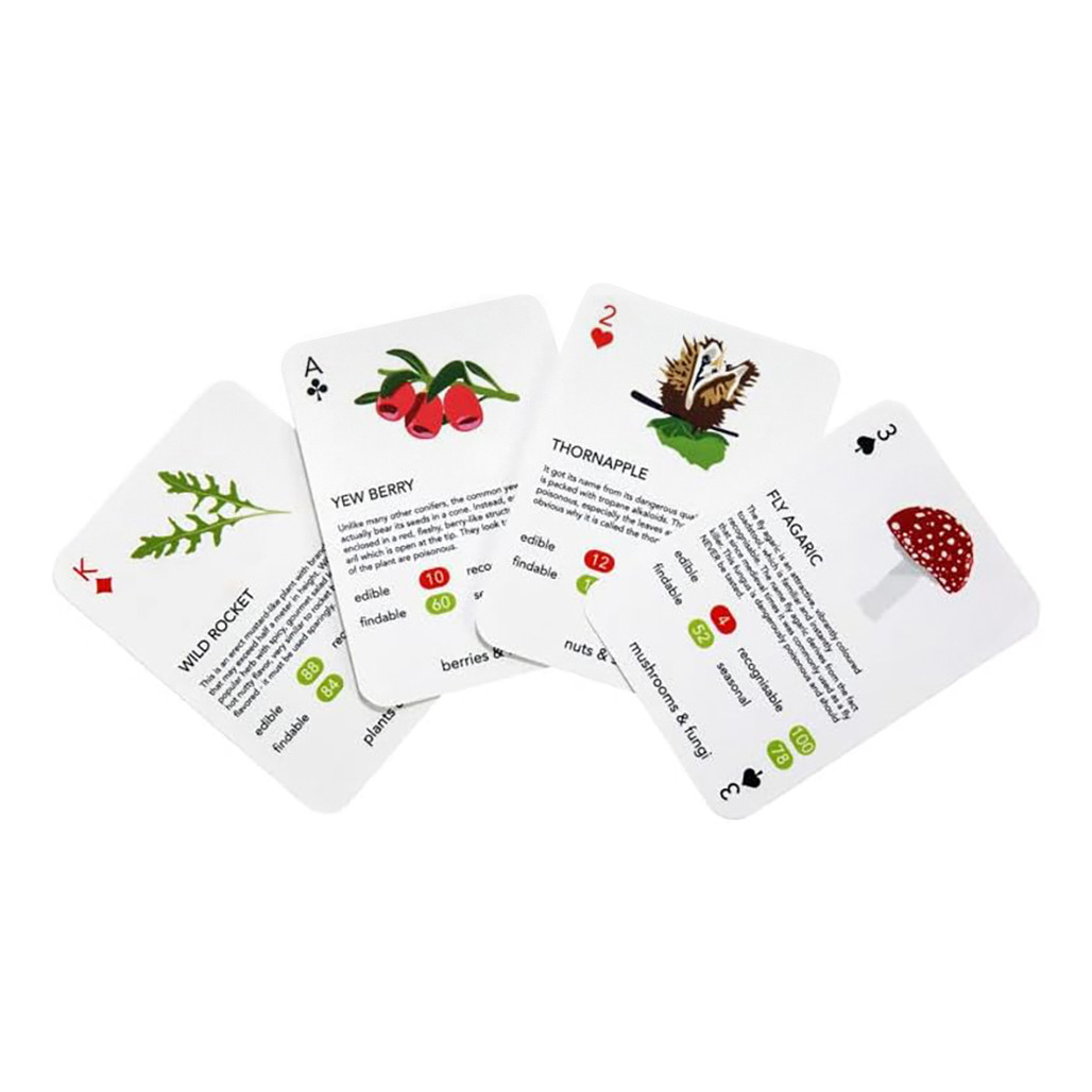 Kikkerland Bird Playing Cards GG113 – Vogel-Motiv Spielkarten, Für Kartenspiele & Sammler