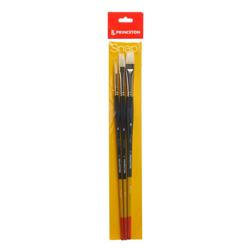 An image of a Princeton Series 9700 Snap! Natural Bristle Long Handle Brush Set.