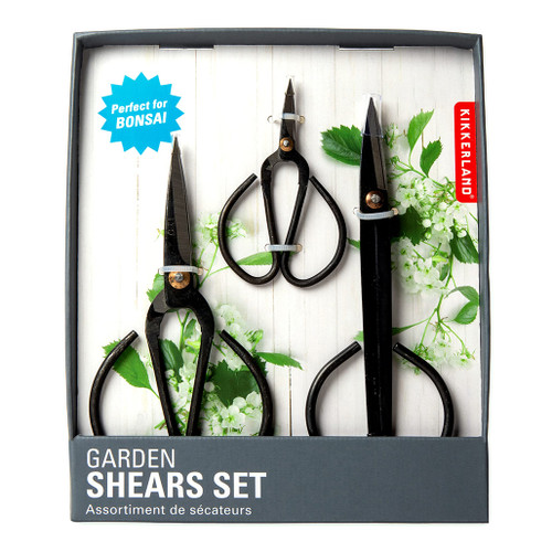 An Image of Kikkerland Dino Planter