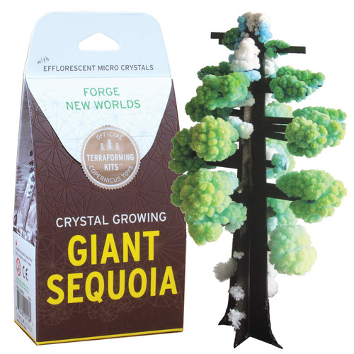 An image of a Copernicus Giant Sequoia Growing Crystals Kit. 