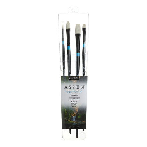 An image of a Princeton Series 6500 Aspen Synthetic Bristle Long Handle Professional Brush Set.