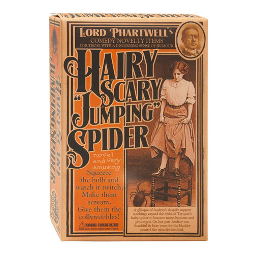 An image of a House Of Marbles Hairy Scary Jumping Spider.