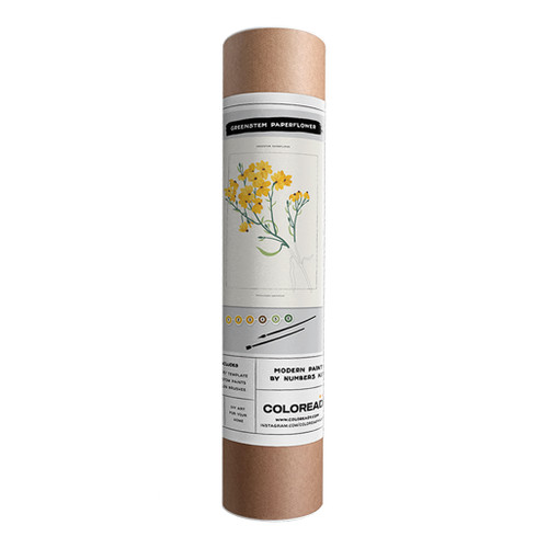 An image of a Coloready Greenstem Paperflower Paint By Number Kit.