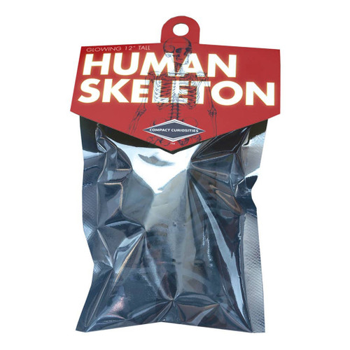 An image of a Copernicus Glowing Human Skeleton Puzzle. 