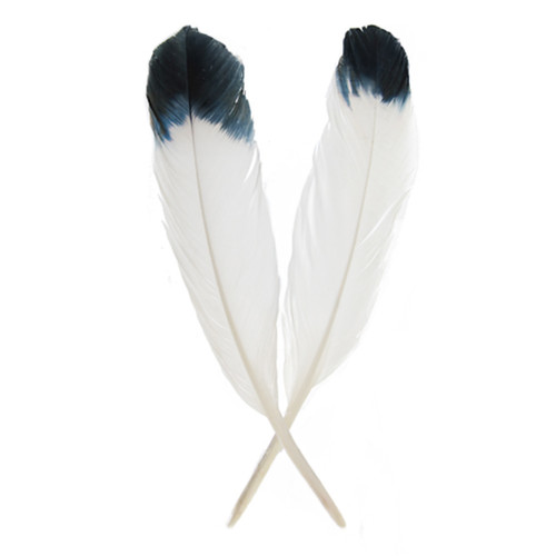 An image of a group of John Bead Imitation Eagle Feathers.