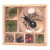 An image of a Huckleberry My Little Museum Box in use.