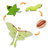An open image of a Safari Ltd Life Cycle Of A Luna Moth Set.