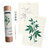 An open image of a Coloready Cannabis Botanical Paint By Number Kit.