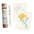 An open image of a Coloready Greenstem Paperflower Paint By Number Kit.