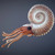 A lifestyle image of a Cephalopod.