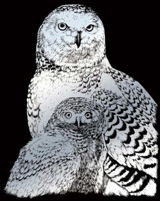 Silver Foil Snowy Owls Art Set