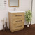 Victoria 24" Plywood Freestanding Vanity with Reinforced Acrylic Sink