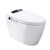T1105-WH Smart Toilet, Elongated  Seat Toilet with Cleaning Mode & Warm Air Dryer