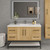 Victoria 48" Plywood Wall-Mount Vanity with Acrylic Sink & Black Rack