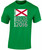swagwear Northern Ireland Do Us Proud Kids Unisex Football T-Shirt 8 Colours XS-XL by swagwear