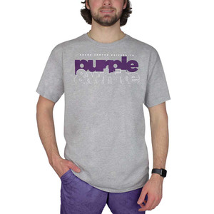 Champion Men's Heathered Gray GCU Purple & White Tee