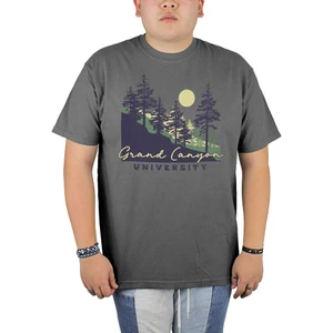 Comfort Colors Men's Gray Grand Canyon University Mountainside Tee