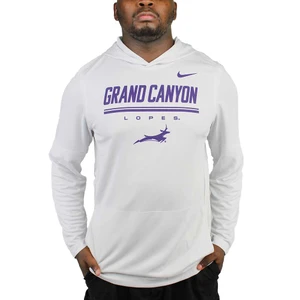 Nike Men's Light Gray Grand Canyon Lopes Dri-FIT Hoodie