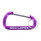 GCU Lopes Carabiner Keychain