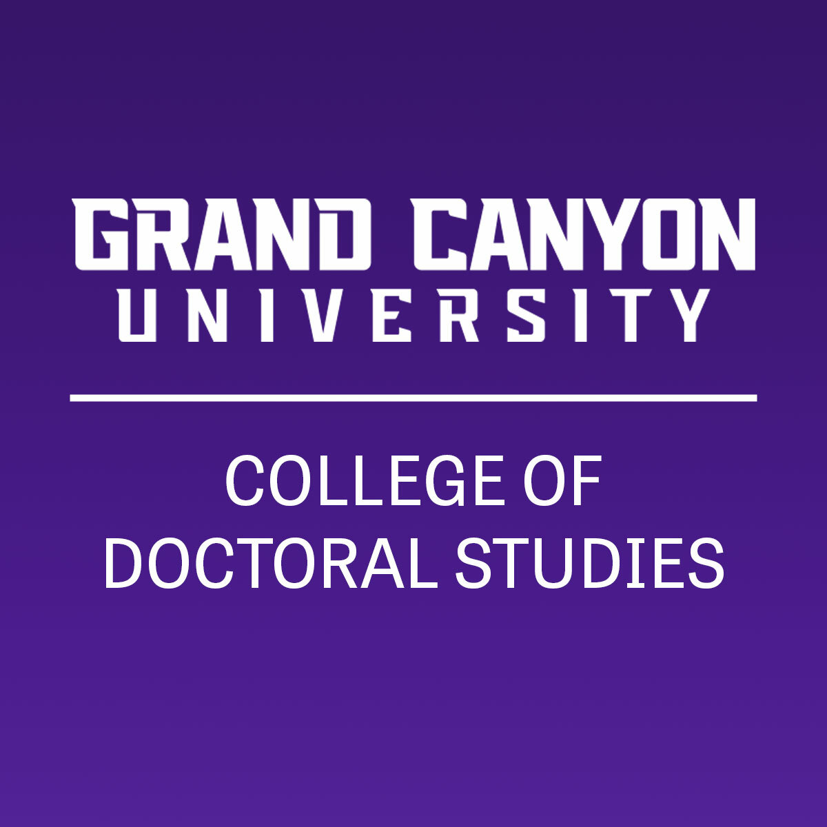 Doctoral Studies