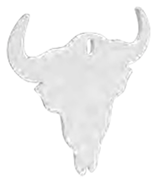 Birchwood Casey BC-47719 Skull Silhouette AR500 Steel Target 3/8"