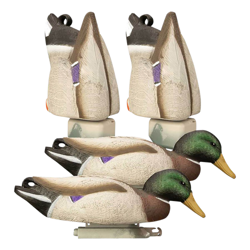 Higdon Outdoors 17023 Magnum Feeder Mallards Species Multi Color 4 Pack                                                                                                                                 