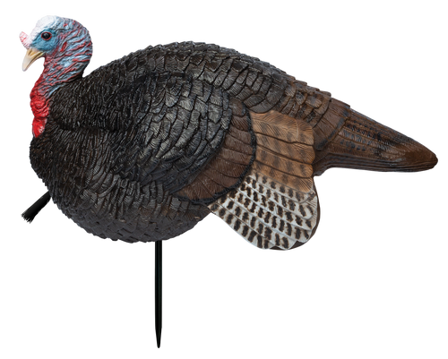 Primos 69074 Lil' Gobstopper Jake Turkey Decoy Multi-Color