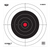 Birchwood Casey EZE-Scorer 12" Bullseye Targets - 13 Pack