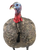 Avian X LCD Quarter-Strut Jake Turkey Decoy - Dura-Rubber Multi Color