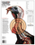 Champion Targets 45780 LifeSize Turkey Paper Target 14x18 12-Pack