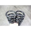 2012-2015 BMW F30 3-Series Sedan Factory Rear Axle Coil Spring Pair Left Right