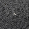 2017-2023 BMW G30 5-Series F90 M5 Interior Carpet Set Floor Covering Black OEM