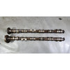 1999-2006 BMW M52TU M54 2.5L 2.8L 6 Cylinder Intake Exhaust Camshaft Pair OEM
