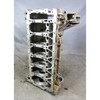 2012-2018 BMW N55 6-Cyl Twin-Scroll Turbo 3.0L Engine Cylinder Block Bare OE