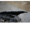 Damaged 17-20 BMW G30 5-Series Factory M Sport Front Bumper Carbon Black PDC OEM