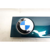 1996-2002 BMW Z3 Roadster Coupe Outside Cowl Hood Grille Pair Boston Green OEM