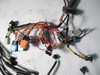 BMW Z3 2.3 2.8 Roadster Coupe Manual Transmission Wiring Harness 1999-2000 OEM