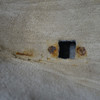 1999-2002 BMW Z3 Roadster Cabrio Factory Floor Covering Beige Front Rear OEM