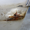 Damaged 69-76 BMW E3 3.0 2800 Sedan Front Right Fender Panel Silver OEM