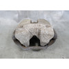 BMW G20 330i G01 X3 G02 X4 B46 Left Front Brake Caliper 2018-2024 OEM