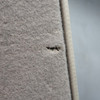 BMW E36 318ti Compact Rear Folding Seat Backrest Pair Grey Cloth OEM 1995-1996