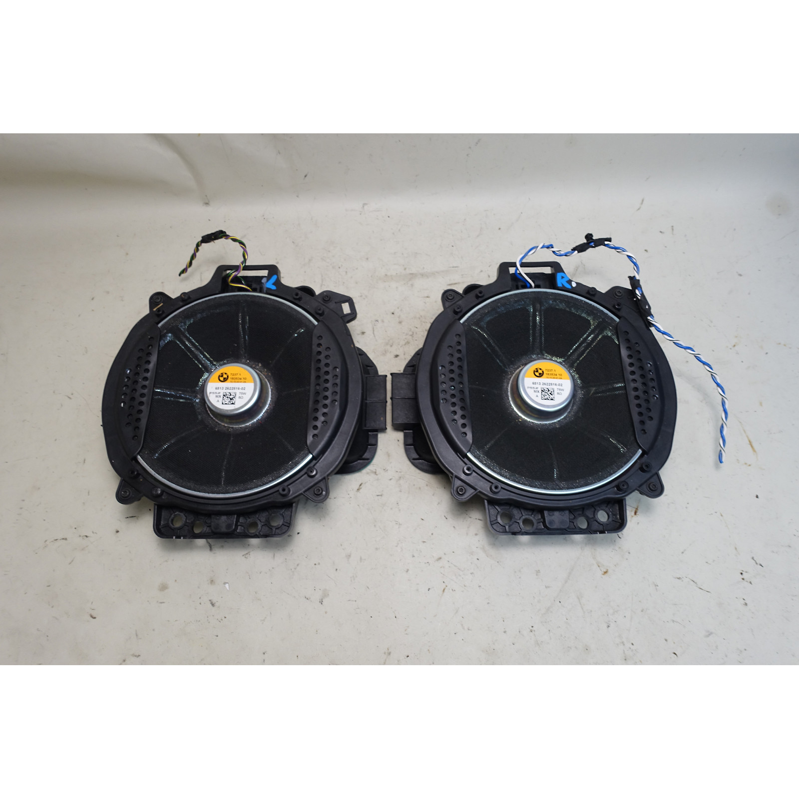 19-25 BMW G05 X5 G07 X7 X6 Factory Harman/Kardon Subwoofer Bass
