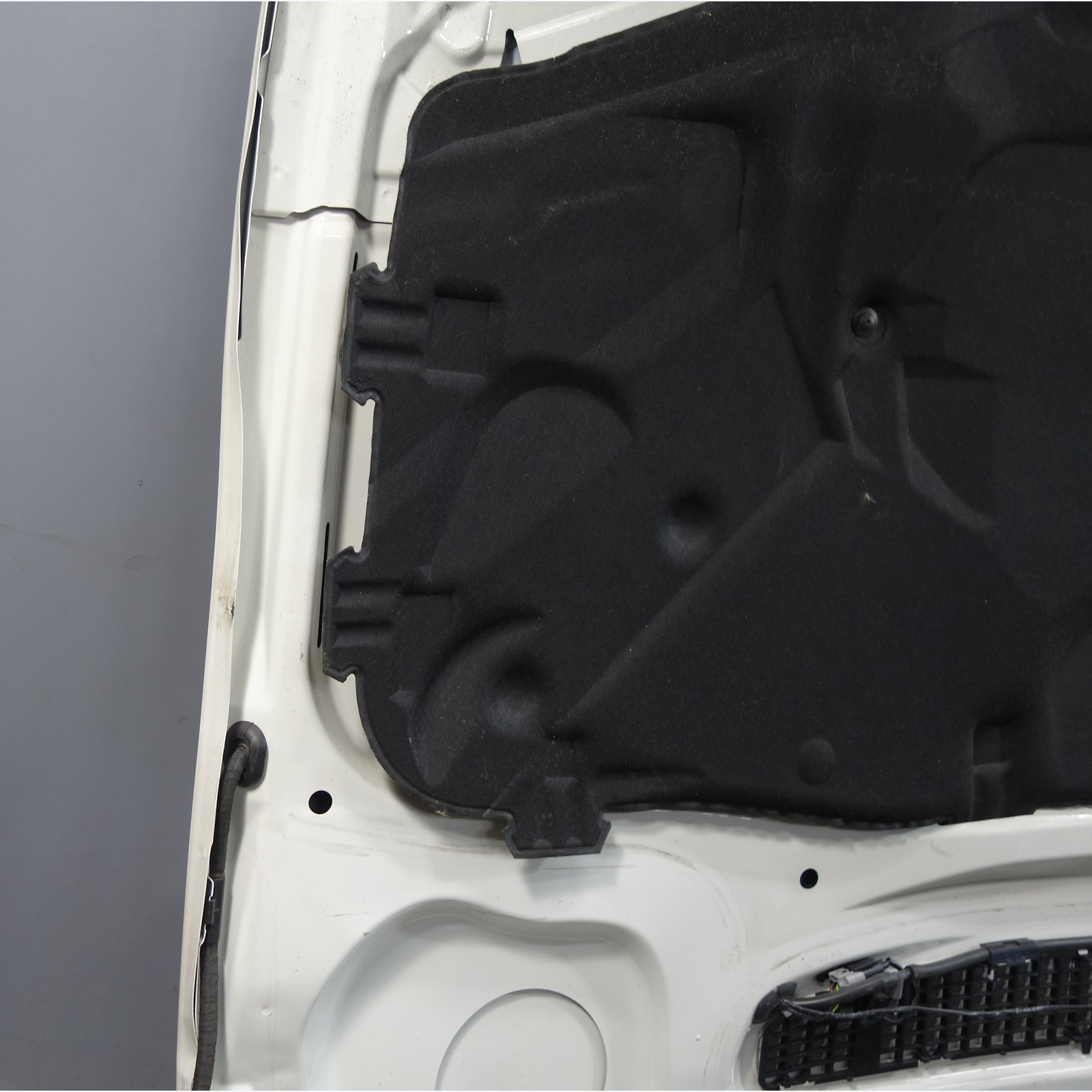 Damaged 03-06 BMW E46 3-Series 2dr Late Model Front Hood Cover
