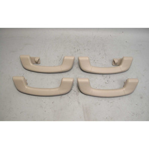 2009-2017 BMW F01 7-Series F07 GT Interior Roof Handle Set Oyster Plastic OEM