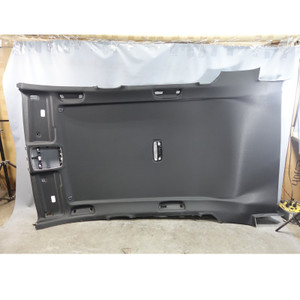 18-24 BMW G01 X3 F97 X3M Roof Lining Headliner Slick Top No Sunroof Black OEM