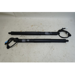 17-18 BMW F15 X5 Factory Automatic Trunk Lid Hatch Lift Spindle Strut Pair OEM