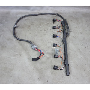 2003-2005 BMW E85 Z4 2.5i 3.0i M54 6-Cyl Engine Ignition Coil Wire Harness OEM