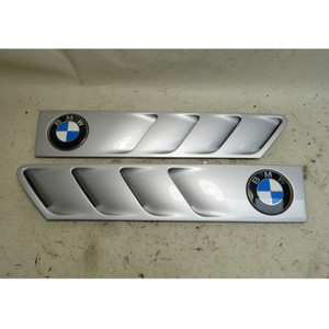 BMW Z3 Roadster Coupe Cowl Grille Trim Pair Titanium Silver 354 1996-2002 OE