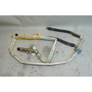 1999-2005 BMW E46 Sedan Left Roof Side Curtain Airbag 323i 325i 328i OEM